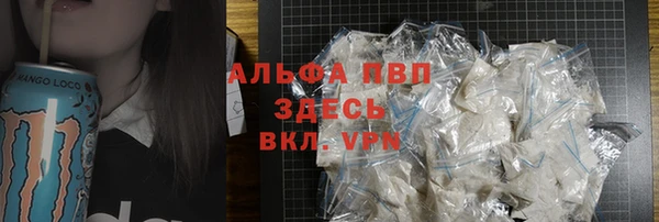 индика Куртамыш